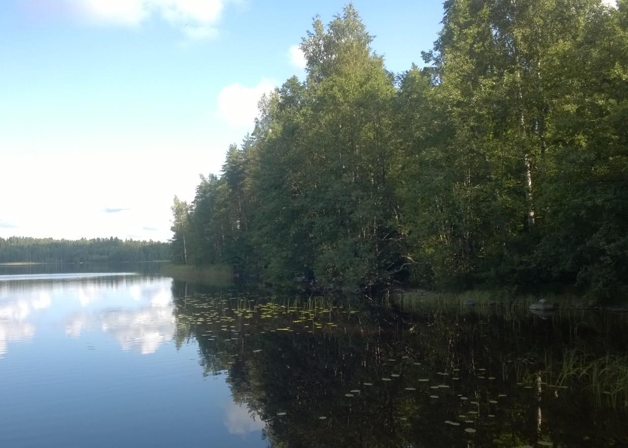 LUUMÄEN KUNTA / SEPPO LAHTELA SOROSENLAHDEN RANTA-ASEMAKAAVA TAAVETTI JURVALA