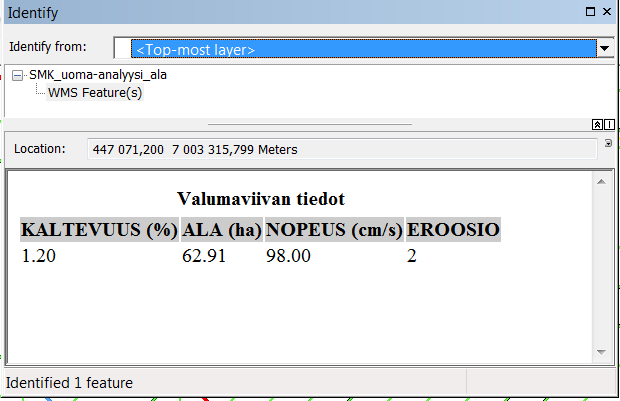 Teemassa esitettyjen viivojen kuvaustavan ja merkityksen