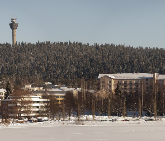 Kuopion kaupunki, kaupunkiympäristön palvelualue