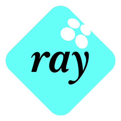 Avustustoiminta RAY:N