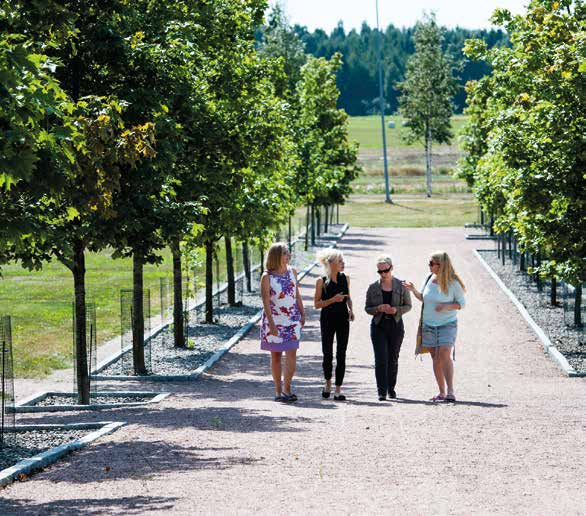 Helsingin yliopisto PEDAGOGISET YLIOPISTONLEHTORIT Verkosto Helsingin yliopiston