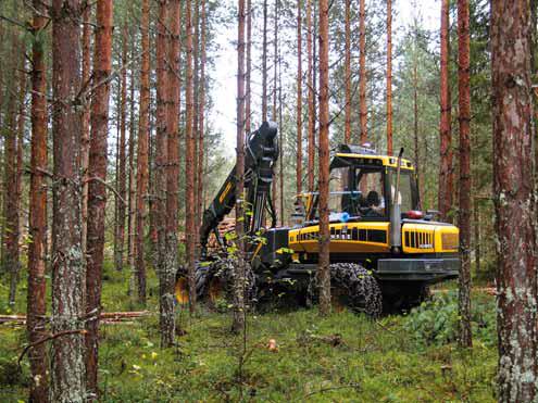 Odotellessa voitaisiin käyttää karvalakkimallia 5 11 m säteiselle puoliympyrälle jäävien puiden edustamat pohjapinta-alat - Lukujen summana