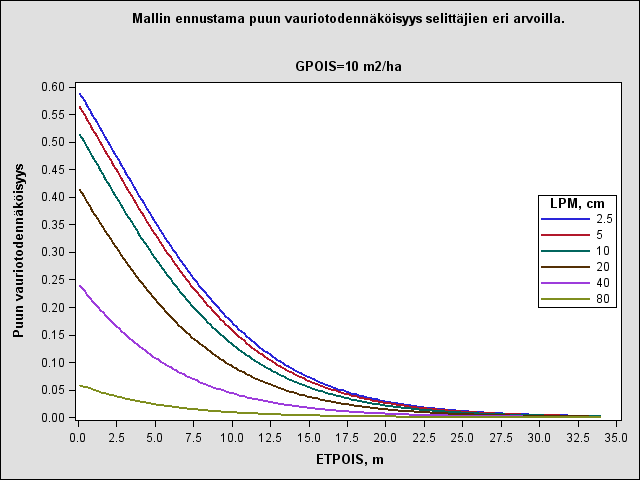 Taimikokoa suurempien puiden