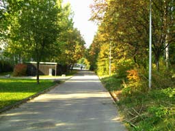 on arvioitu sen kaupunkikuvallinen, ekologinen, toiminnallinen tai maisemallinen merkitys ja kuvailtu nykytilaa ja havaittuja ongelmia sekä esitetty tavoitteet ja toimenpiteet. 1.