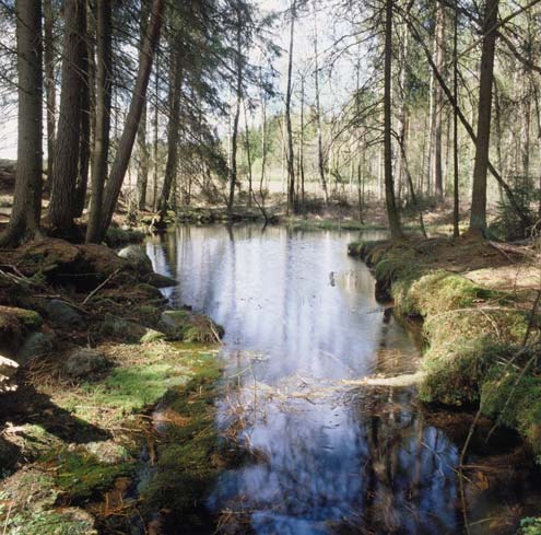Pohjavesialueen geologinen rakenneselvitys 10 Ilola-Kukkolanharju, Hämeenkoski (Alalammi (toim.) 1990, Mälkki 1999, 2005).