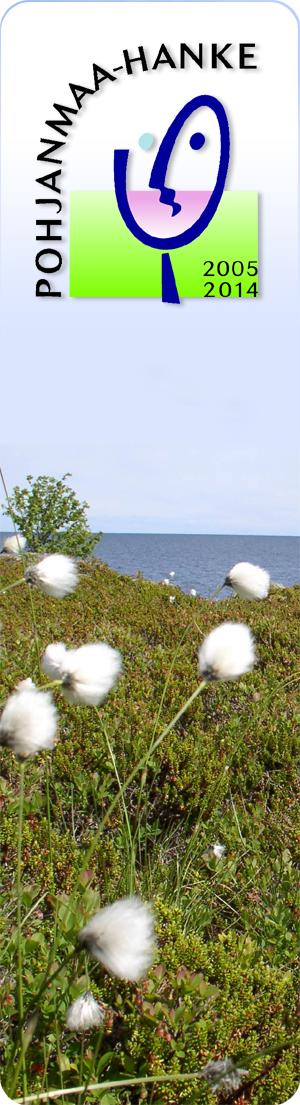 KIITOS! www.