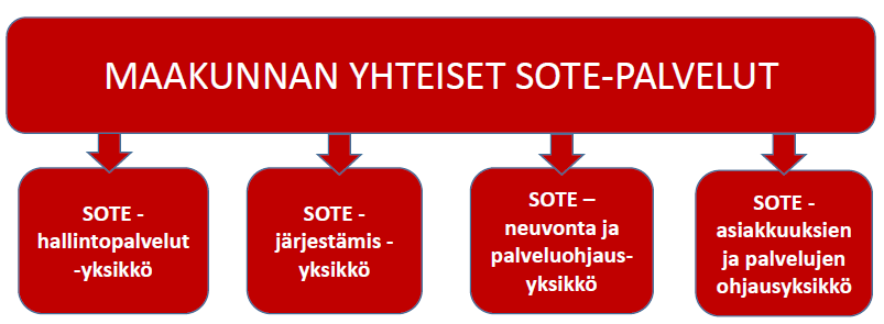 25 toa hyvien ja huonojen onnistumisten ja käytettyjen menetelmien yhteyksistä ja pystytään kohdentamaan palvelut oikeansisältöisinä eri asiakasryhmiin.