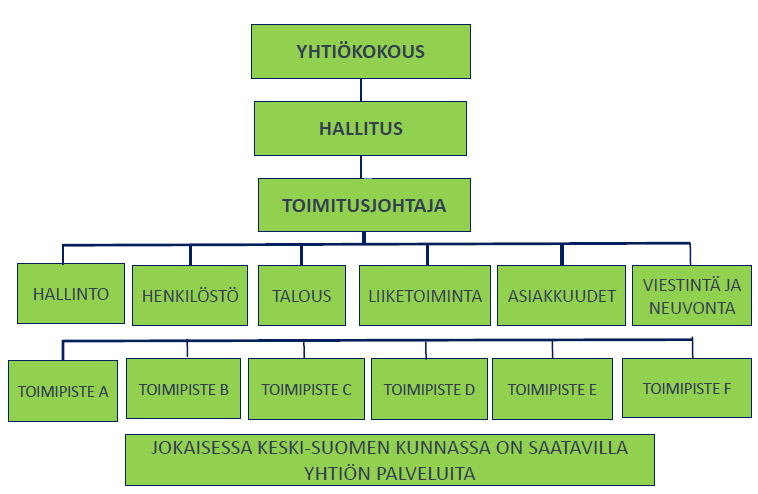 29 toimitusjohtajan yleistoimivaltaan kuuluvasta asiasta. Osakeyhtiölain mukaan yhtiöllä on oltava hallitus ja sillä voi olla toimitusjohtaja.
