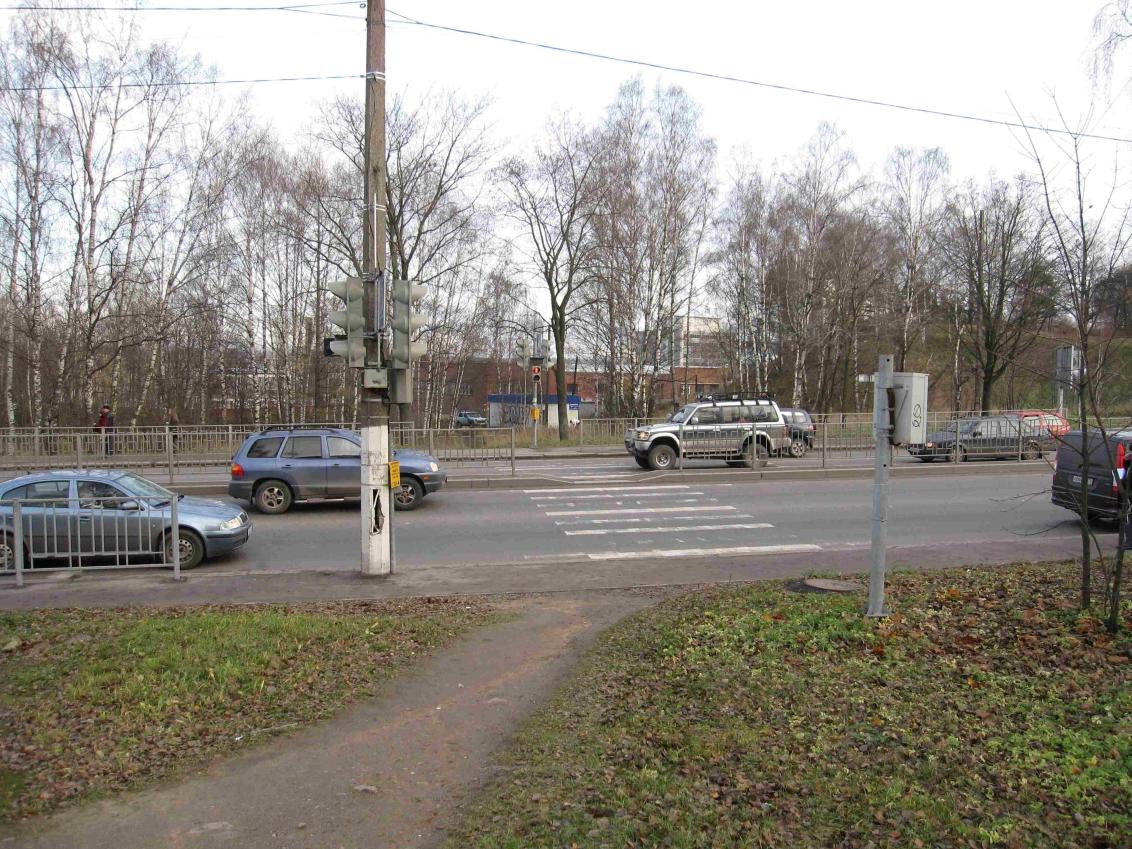 Black spots on the streets of