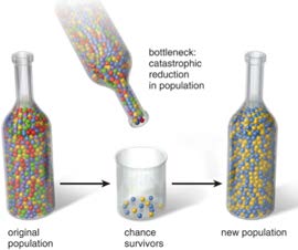 Population isolate Opportunity to identify disease associated low frequency variants Finns have