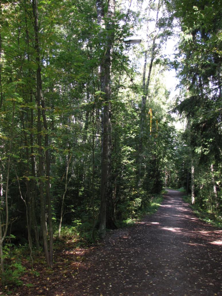 Muita metsänhoitotöitä ovat nuorten puustojen hoito, taimikonhoito ja pienpuustonhoito. Taimikonhoidolla tarkoitetaan nuoren, noin 5-15 vuoden ikäisen metsän harventamista.