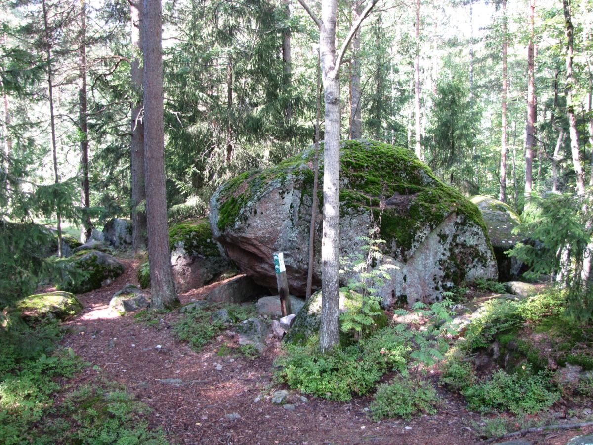 myös vanhoja rauhoitettuja tammia. Laaksolahdessa ja Lähderannassa Janika- myrsky aiheutti vuonna 2001 tuulituhoja.