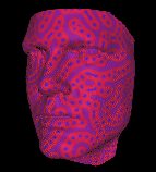 http://www-static.cc.gatech.edu/~turk/reaction_diffusion/reaction_diffusion.