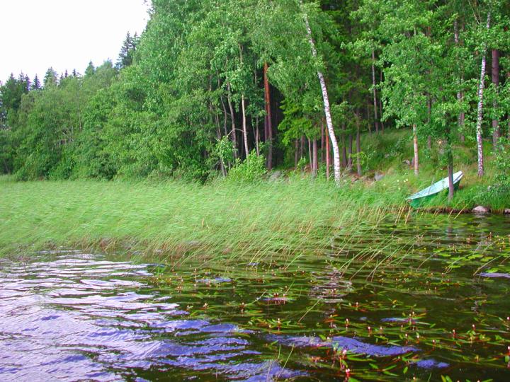 Katumajärven vesi- ja rantakasvillisuuskartoitus Heli Jutila ja Matti Kouvo Hämeenlinnan