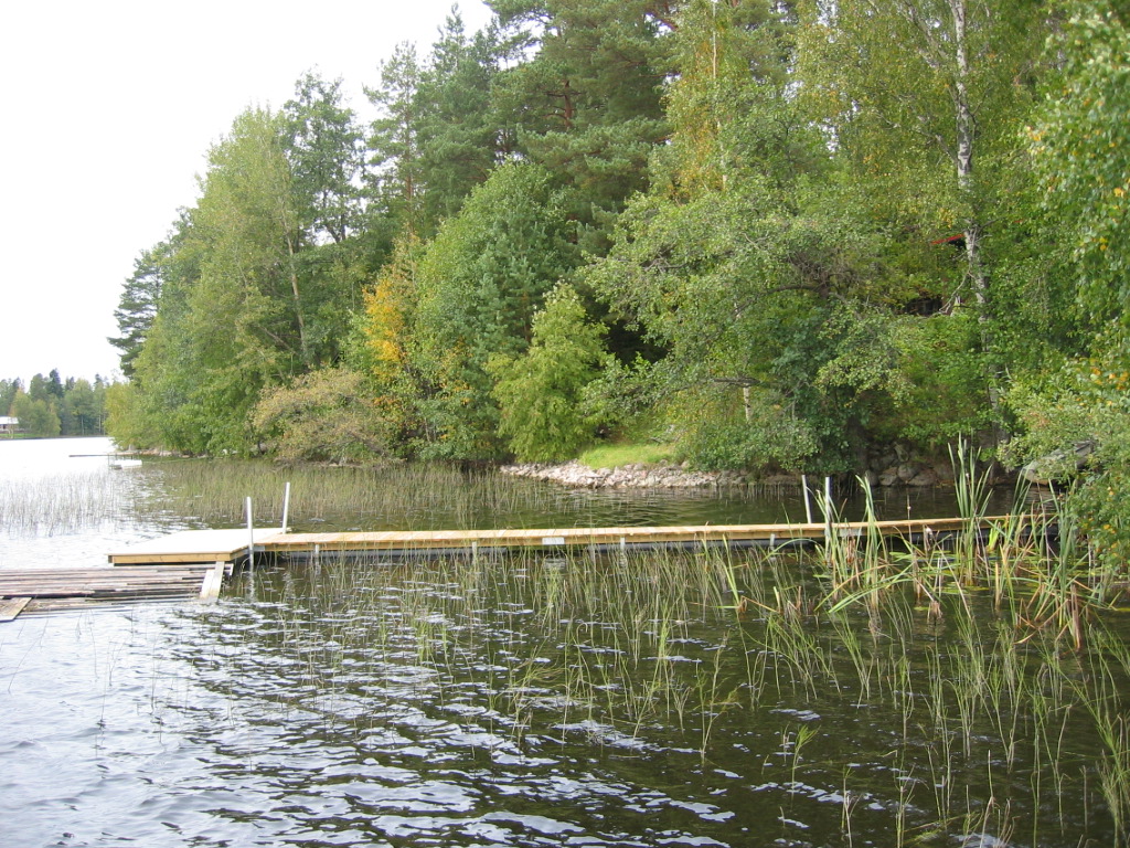 (kuva 11). Rannat on tiheään rakennettu, mikä heijastuu ruovikko-osuuksien katkonaisuutena.