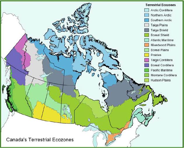26 KUVA 7. Kanadan kasvillisuus alueet (National forest inventory 2010, 39 53). Koealaverkostossa on kahdenlaisia koealoja, maakoealoja ja kuvakoealoja. (kuva 8.