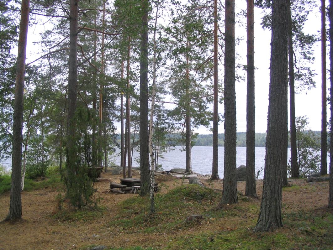 Keski-Suomen Natura 2000 verkoston hoidon ja käytön