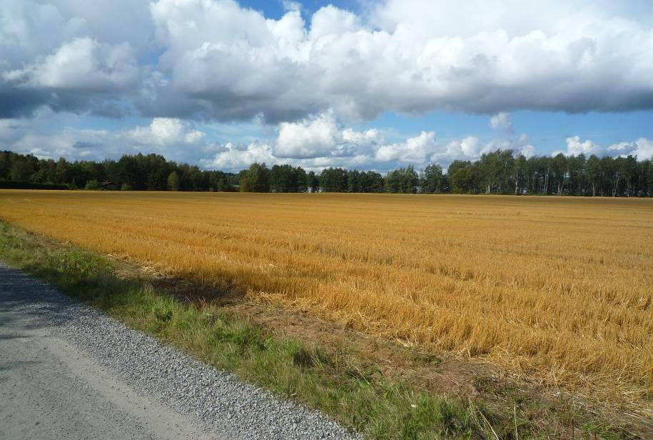 HERTTUALAN OSAYLEISKAAVA