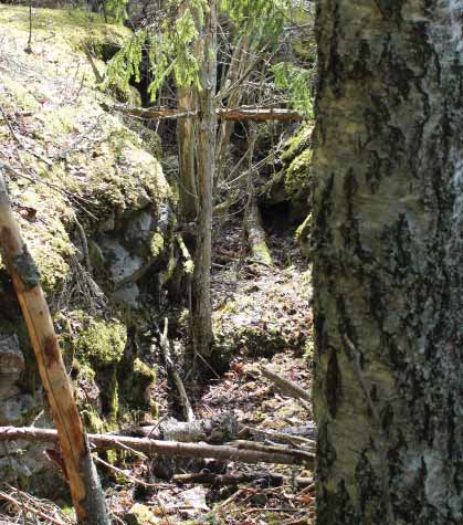 SUUNNITTELUN LÄHTÖKOHDAT Suunnittelualue on osin peltoa/niittyä ja osin mäkistä metsää. Alueella sijaitsee yksi omakotitalo talousrakennuksineen, muuten alue on rakentamaton.