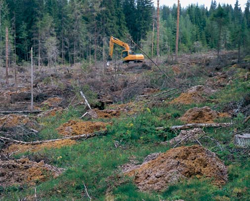 KÄÄNTÖMÄTÄSTYS Kuusen ja koivun istutusalat Maisemallisesti arat alueet Rehevät