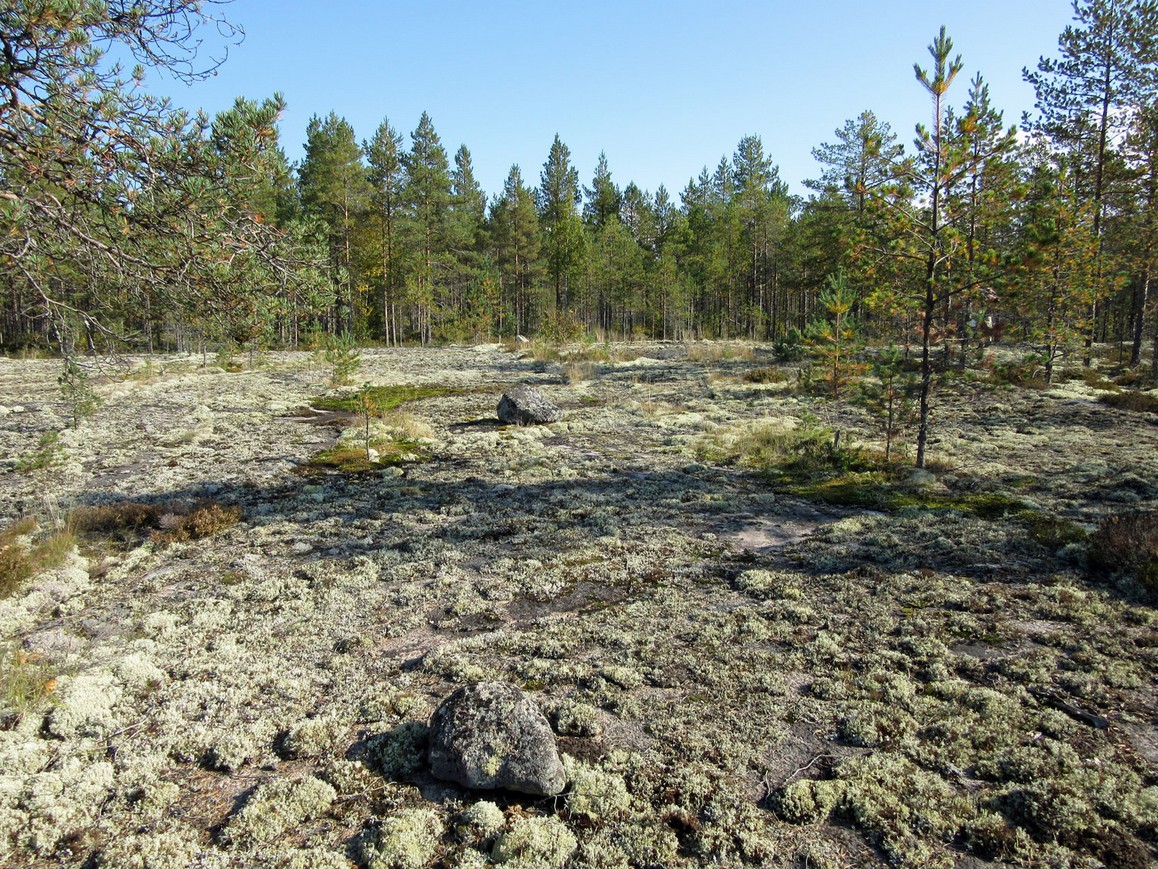 13 3 Tyypillisiä alueen matalia kallioselänteitä hankealueen keskivaiheilla.