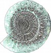 14 11. Aineistoluettelo Digitaalinen aineisto: Arkistolaitoksen pitäjänkartasto Kalajoki ja Pyhäjoki, http://digi.narc.fi/digi/dosearch.ka?o=11 Geologian tutkimuskeskus, http://www.gtk.