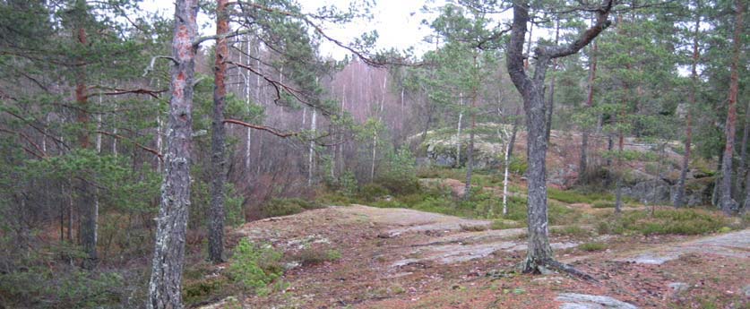 80 toiminnasta poikkeavat erikoistilanteet (onnettomuudet, muut poikkeustilanteet) on käsitelty erikseen (luku 8, Ympäristöriskien ja poikkeustilanteiden huomioiminen). 6.4.