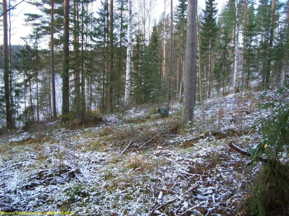 1 Ruovesi Visuvesi Värkkiniemi