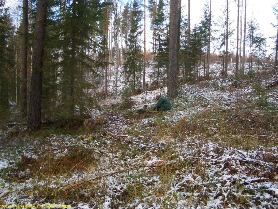 11 RUOVESI VÄRKKINIEMI 2 Ajoitus: Laji: kivikautinen asuinpaikka Rauh.