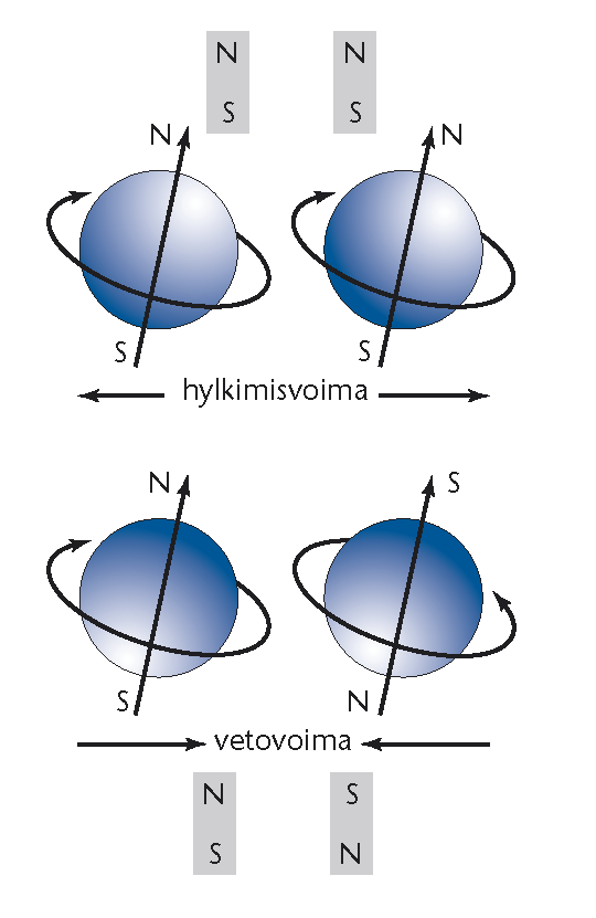 0, 1, 2,, n 1 0, ±1, ±2,, ±l Neljäs ja viimeinen kvanttiluku, spinvanttiluku, kertoo elektronin spinin eli pyörimissuunnan.