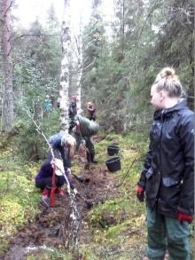 - Metsähallituksen Pohjanmaan Luontopalveluiden sisäinen (osittain valtakunnallinen jakelu) tiedote 10.10.2016: Kalan vaellus tyssää usein tien alitukseen Esteet pois!