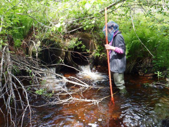 alapään pudotus, liian suuri virtausnopeus, rakenteen pohjan sileys, veden mataluus sekä rakenteen suulla olevat kivi-, jäte- ja karikepadot.