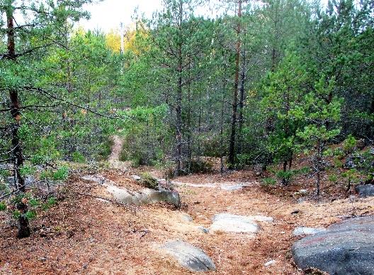 Yhdessä retkelle Littoistenjärven ympäri tiistaina 9.5.2017 illalla Kuljemme ensin Littoistenjärven luontopolkua n. 4 km Kuovinluotoon asti.
