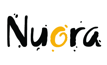 Valtion nuorisoasiain neuvottelukunta PL 29 