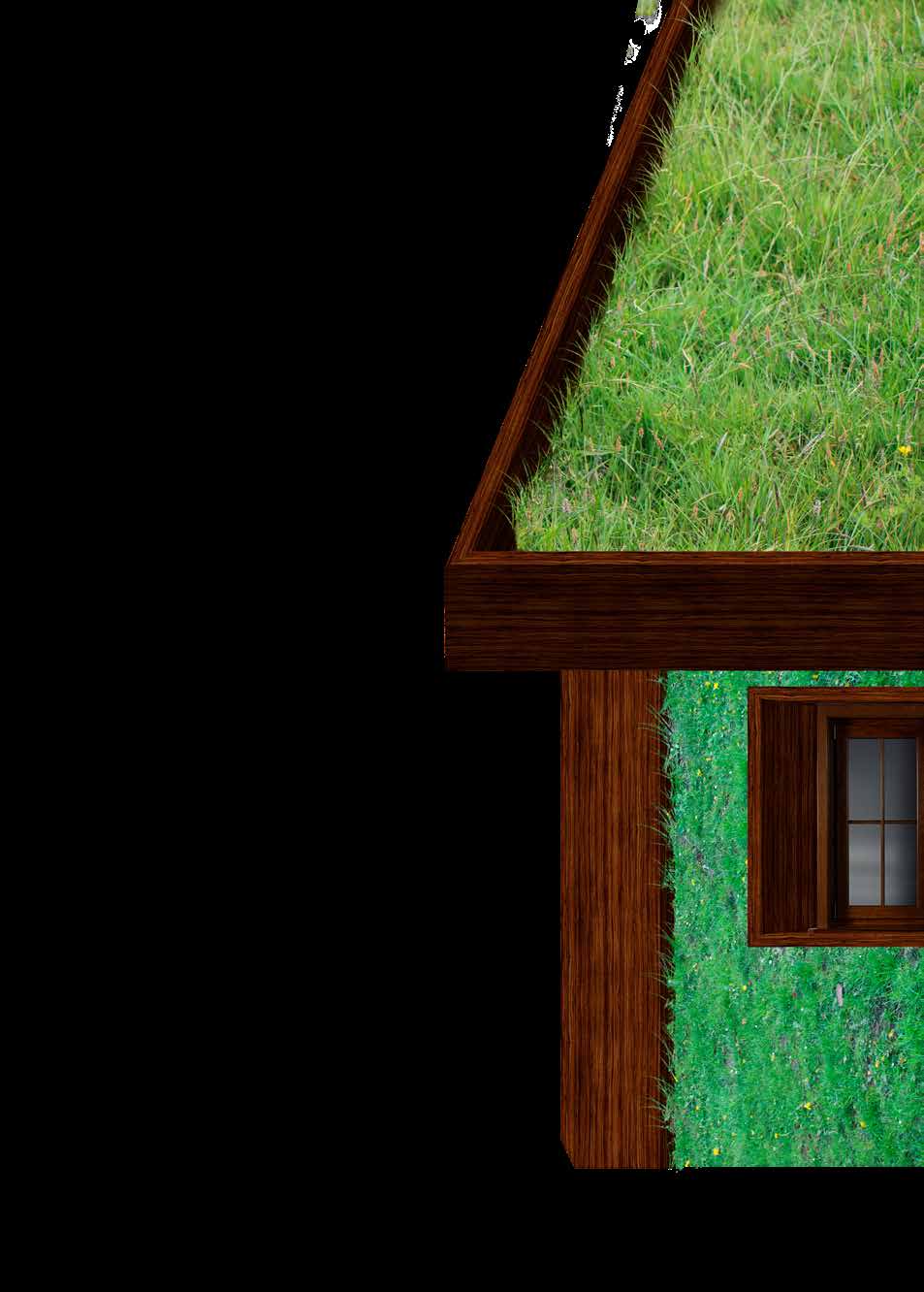 Viherkatot Eräs viherrakentamisen menetelmä on viherkatot. Se voi olla avoimen ja helppopääsyisen kattopuutarhan tai voimakkaasti viljellyn katon muodossa.