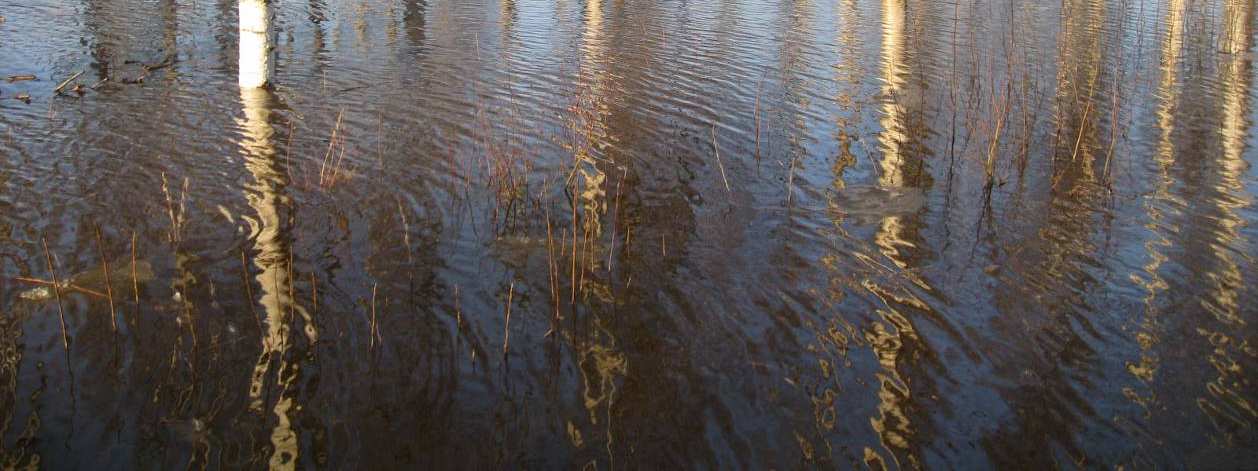 Elokuussa 2004 Vöyrinjoen vesistöalueella oli suuri rankkasateiden aiheuttama tulva. Vöyrin alueella arvioitiin sataneen 150 mm yhden vuorokauden aikana.