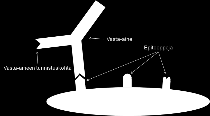 15 menetelmällä voidaan tutkia, miten eri geenien ilmentyminen muuttuu erilaistumisen edetessä. Näin voidaan esimerkiksi vertailla, miten eri solulinjat käyttäytyvät erilaistuessaan.