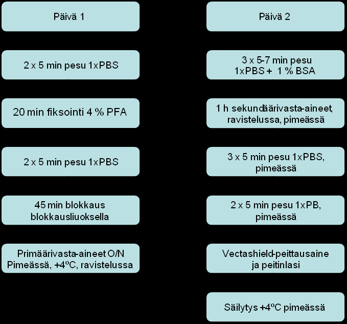 32 vielä monen viikonkaan päästä olleet alkaneet sykkiä, ne värjättiin silti.