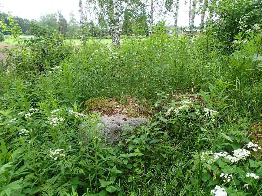 34 Isojaon aikaisen tontin pohjoisosassa oleva rakennusjäännös. Keskellä näkyy kumpuna tulisijan jäännös ja siitä vasemmalle perustukseen kuuluvia kiviä. Kuvattu itäkoilliseen.