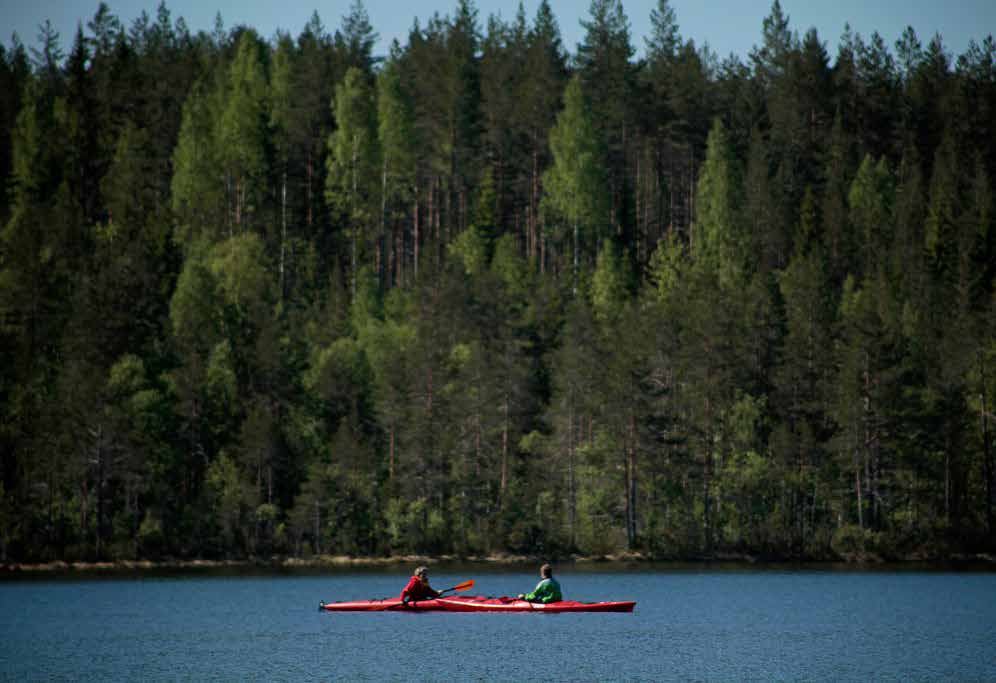 Kaikki olemassa olevat Joensuun kaupunkiseudun viheryhteydet kumotaan ja korvataan uusilla yhteyksillä.