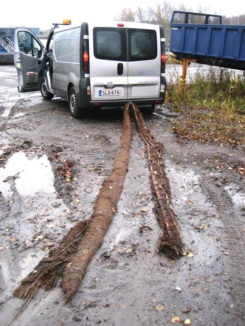 8 Kuva 3 Putkistosta poistettu juuritukos.