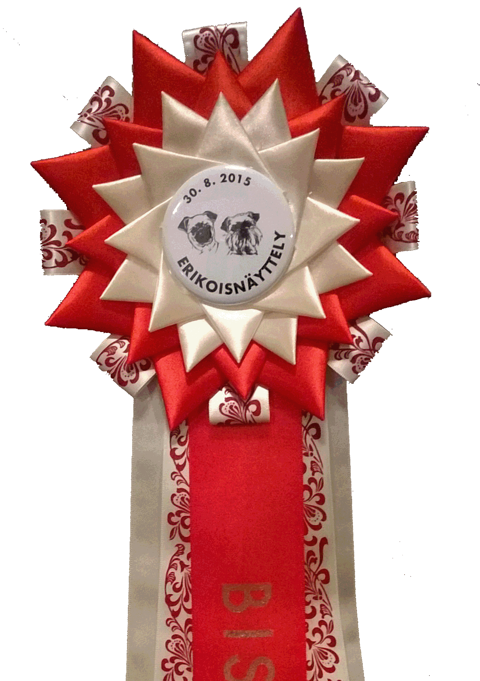 ERIKOISNÄYTTELY 2015 Tuomari: Juha Palosaari GRIFFON BELGE 5 + 8 UROKSET JUNIORILUOKKA... MALES JUNIOR CLASS Plug n Play Corsairey Casch i. Manitoba s Best of the Best e. Lady Prima Grichia kasv.