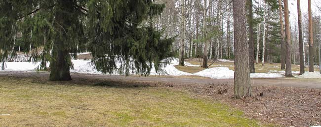 Osa-alueen kaakkoiskulmassa on kävelyteiden rajaama, pääosin nurmikkoa oleva alue.