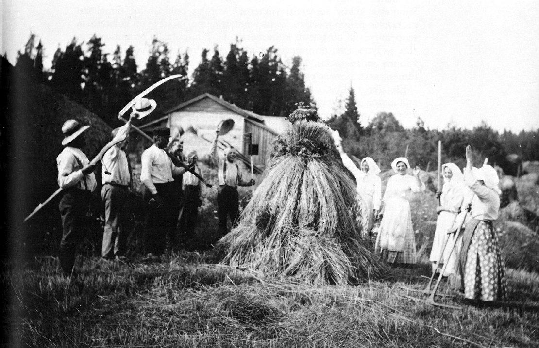 Leikkuuväki hurraa viimeiselle kukitetulle, kruunatulle kuhilaalle Kustaa