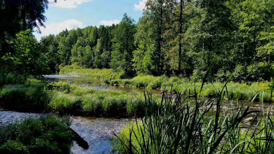 Vantaanjoen Natura-tietolomakkeen mukaan joen vaikutusalueella asuu yli 400 000 ihmistä.