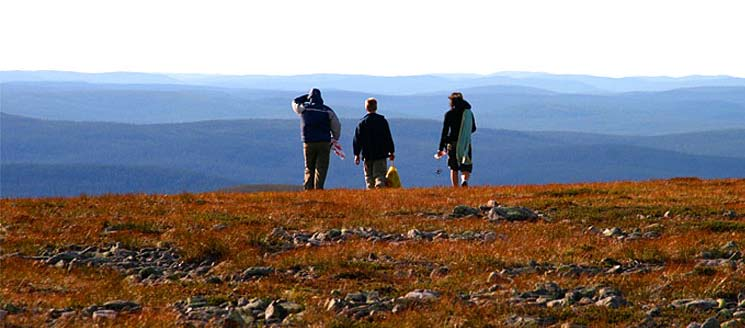 Mesikämmen 2/2008 tamassa. Partio-ohjelman piiriin pääsevät uudistuksen myötä myös 18 22-vuotiaat. Aikuinen tulee lähemmäs toimintaa ja on kullekin ikäkaudelle sopivalla tavalla läsnä.