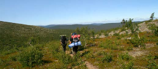 Mesikämmen 2/2008 heessa lippukunnat keskittyivät pohtimaan aktiviteetteja ja ohjelman rakennetta. Väliraportin palautti 17 lippukuntaa.