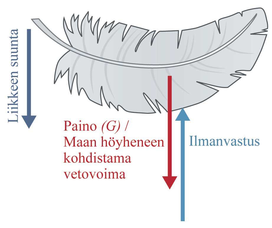 15. a. Taitoluistelijaan ja maalivahtiin vaikuttaa saman suuruiset, mutta eri suuntaiset voimat (voiman ja vastavoiman laki) b.