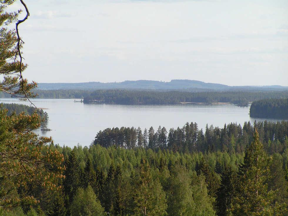 KUOPION LUONNOYMPÄRISTÖ Monipuolinen luonnonympäristö Pinta-alasta noin 1/3 vettä Kallavesi ja