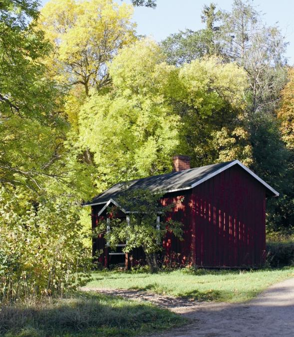 Keltainen talo 1800-1900-luvulta. Kellarirakennukset 1800-1900-luvulta.